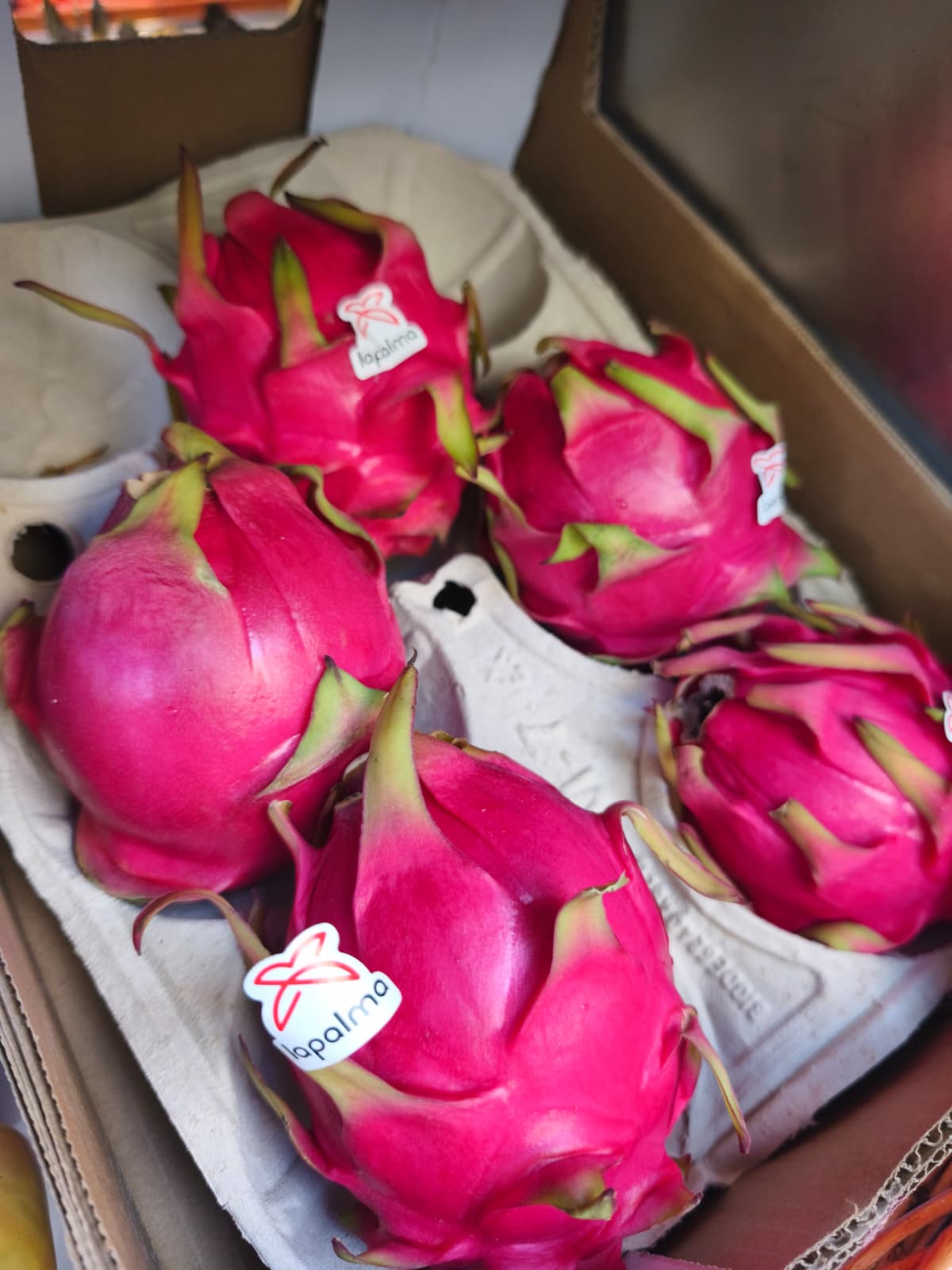 Pitahaya
