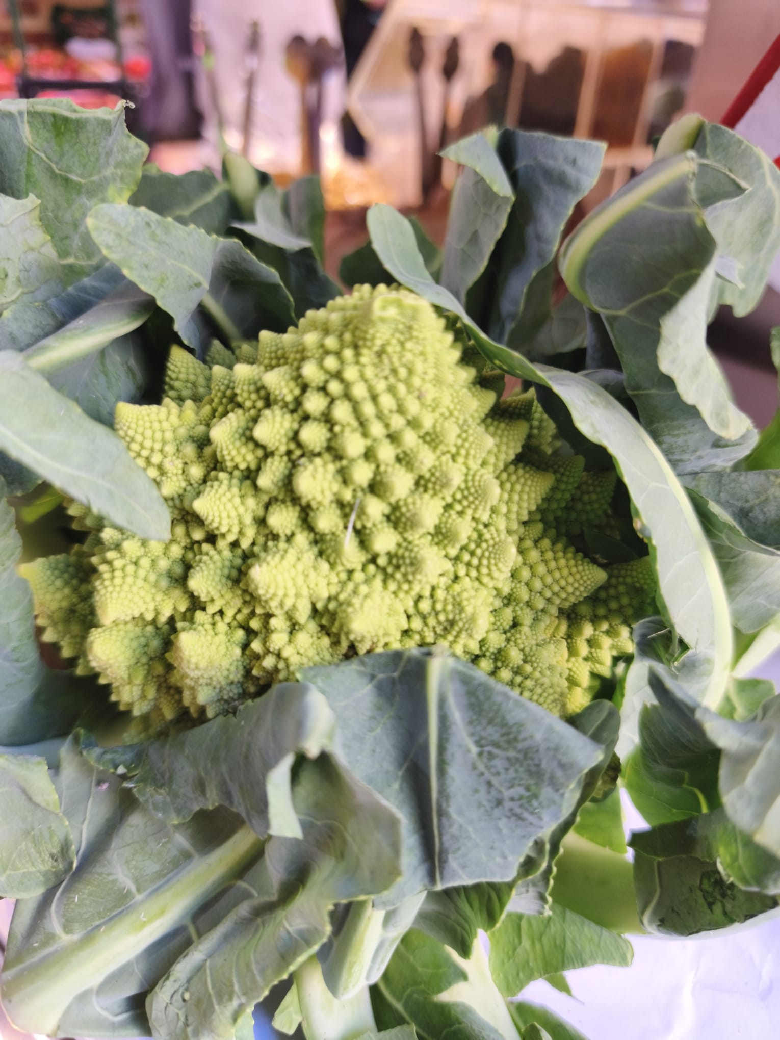 Romanesco