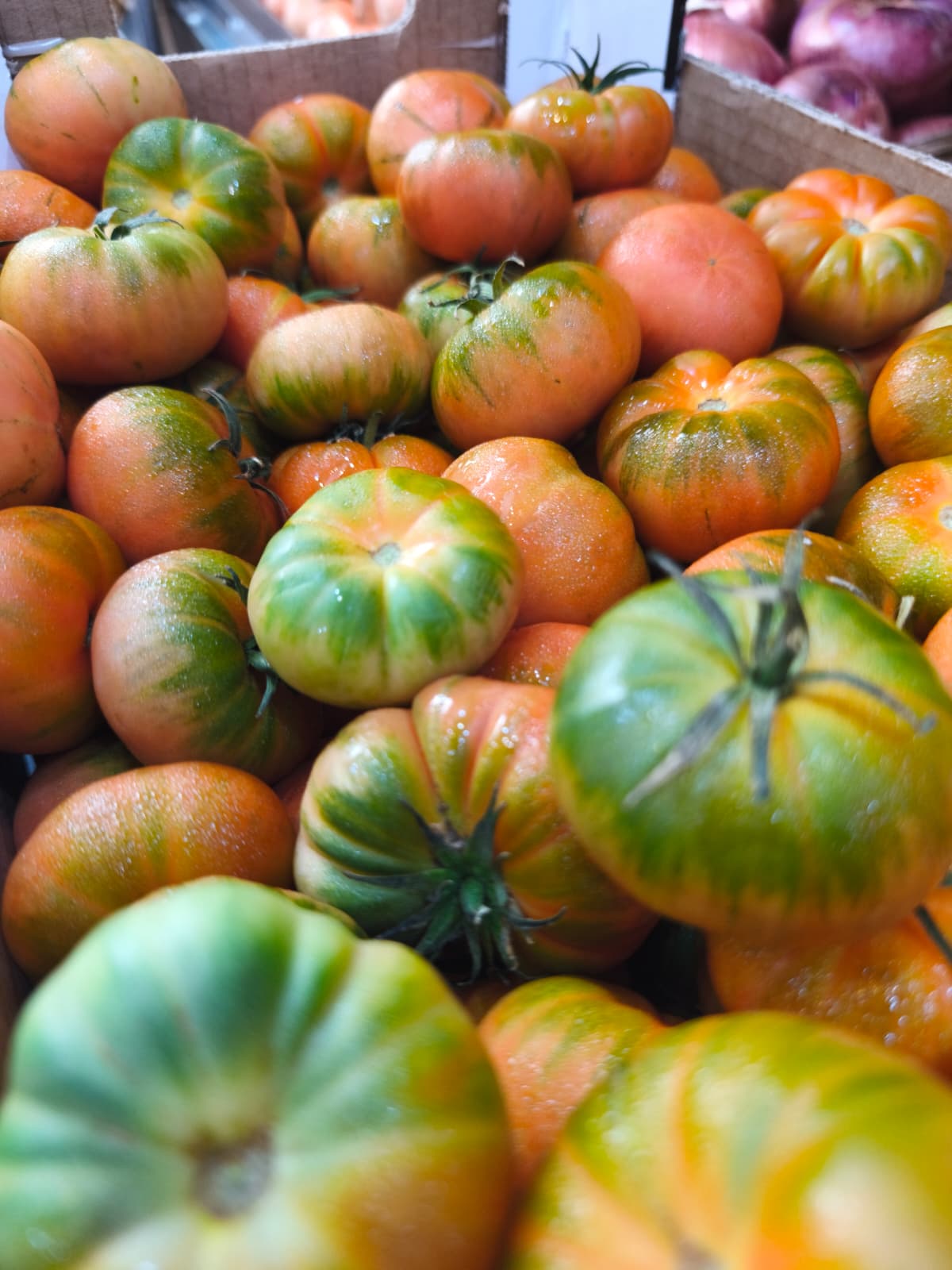 Tomate bolitas de mazaron